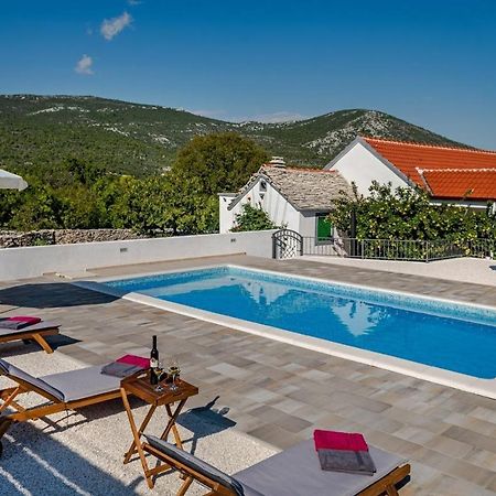 House Camellia With Fenced Pool And Playground Βίλα Blizna Donja Εξωτερικό φωτογραφία