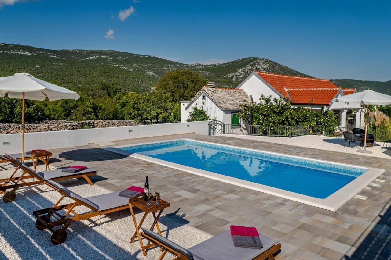 House Camellia With Fenced Pool And Playground Βίλα Blizna Donja Εξωτερικό φωτογραφία