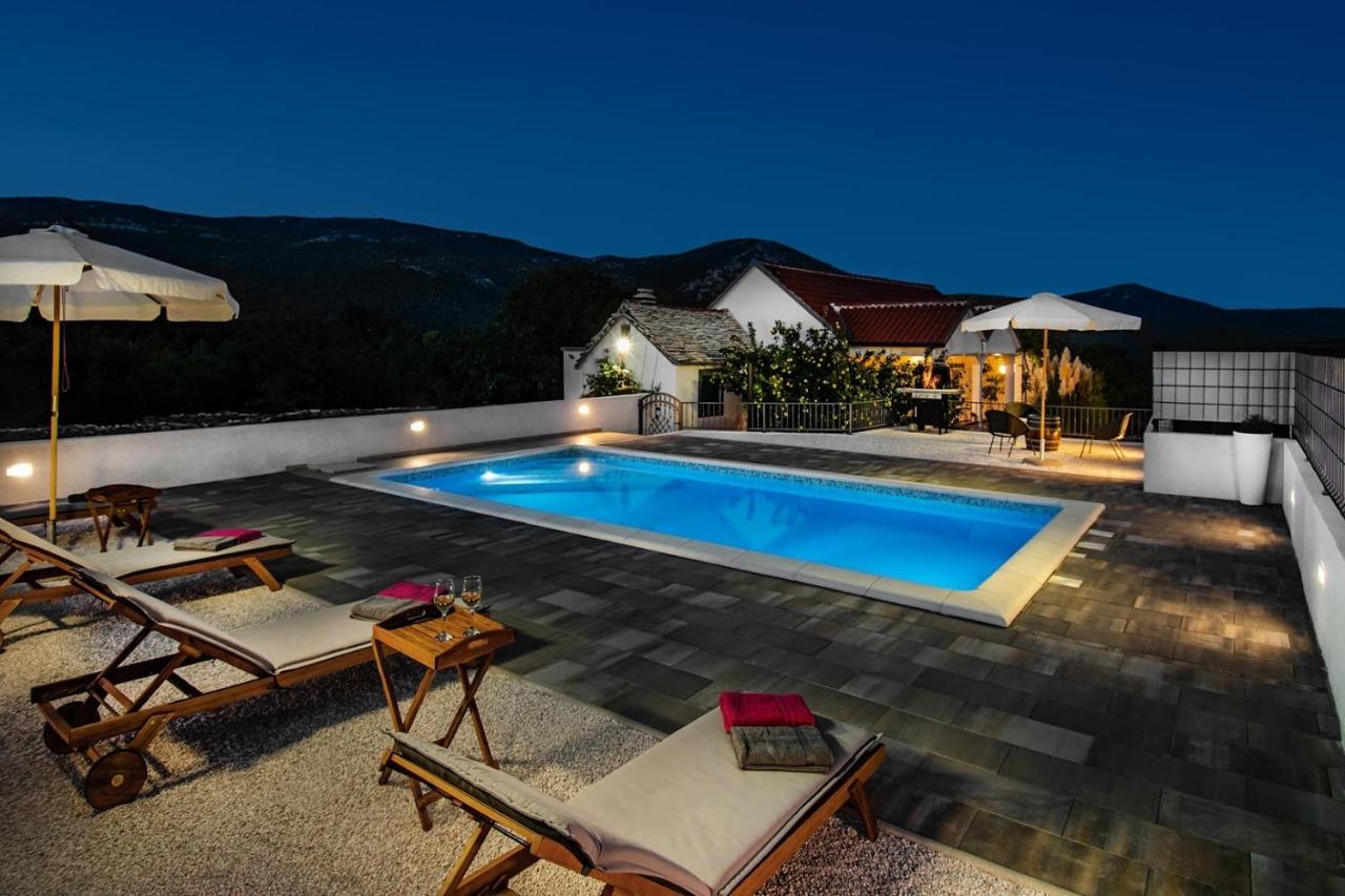 House Camellia With Fenced Pool And Playground Βίλα Blizna Donja Εξωτερικό φωτογραφία