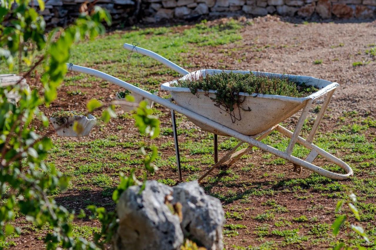 House Camellia With Fenced Pool And Playground Βίλα Blizna Donja Εξωτερικό φωτογραφία