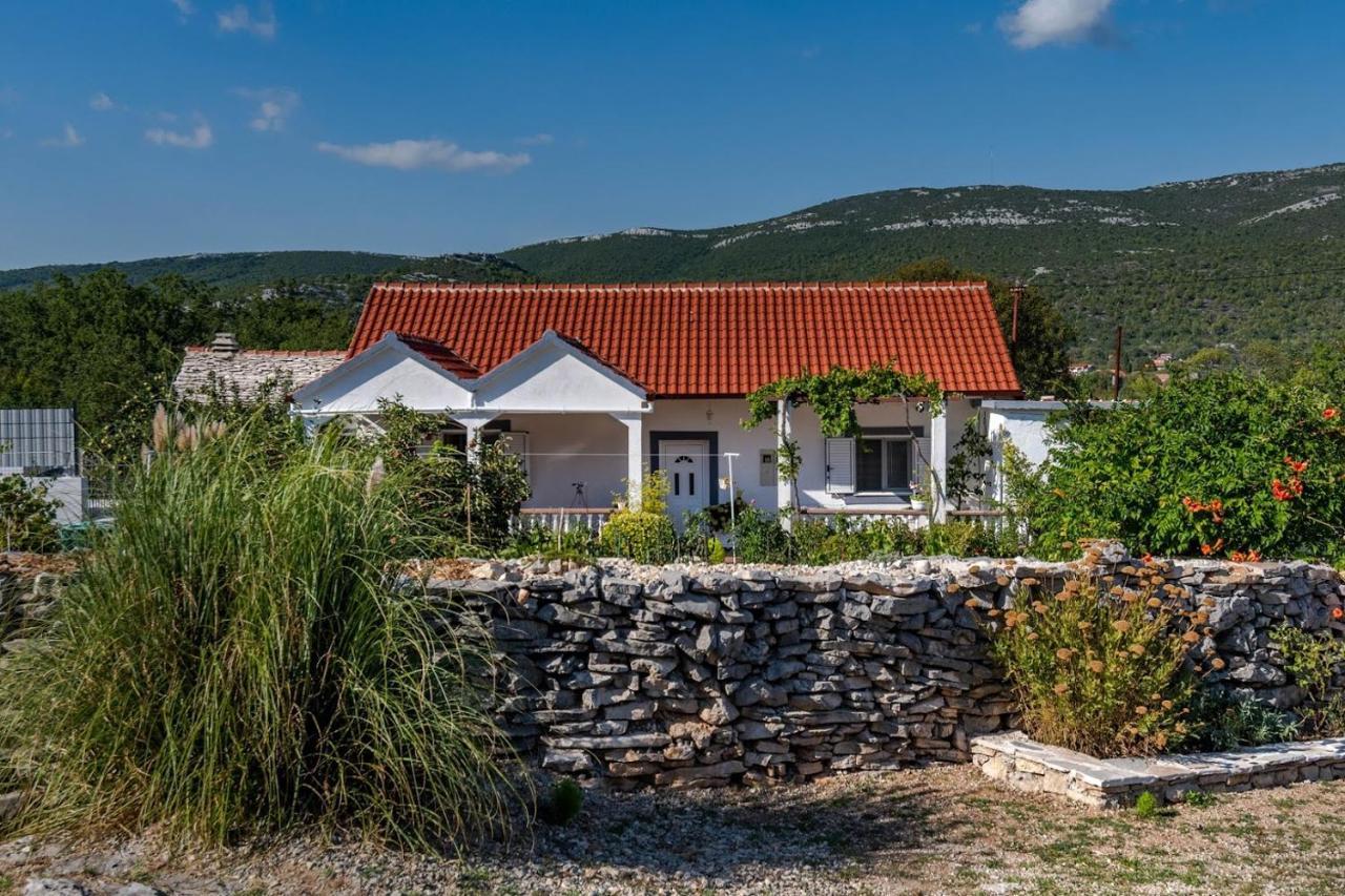 House Camellia With Fenced Pool And Playground Βίλα Blizna Donja Εξωτερικό φωτογραφία