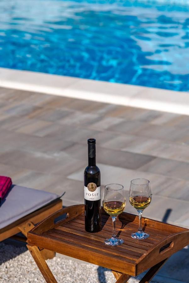House Camellia With Fenced Pool And Playground Βίλα Blizna Donja Εξωτερικό φωτογραφία