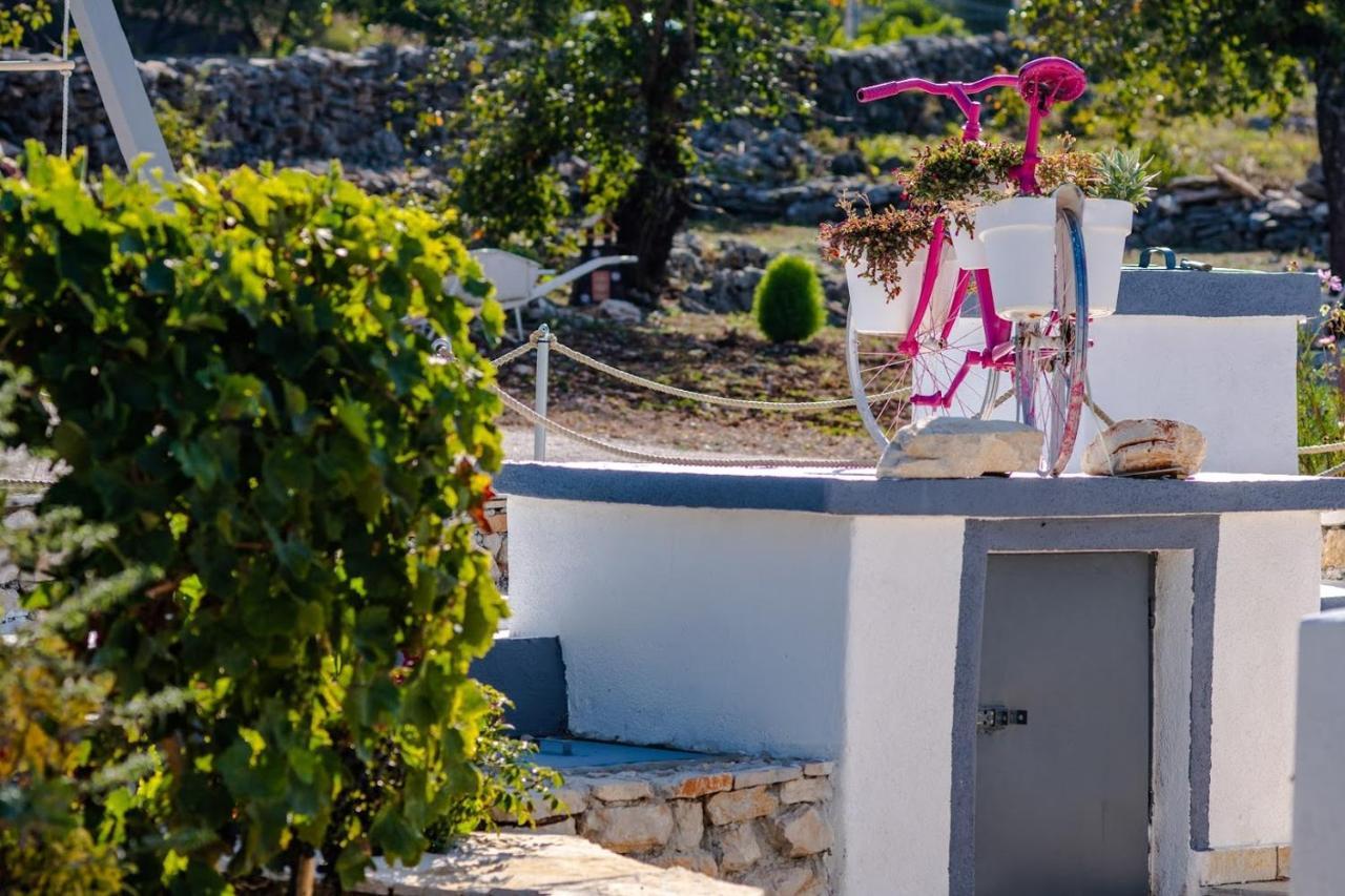 House Camellia With Fenced Pool And Playground Βίλα Blizna Donja Εξωτερικό φωτογραφία