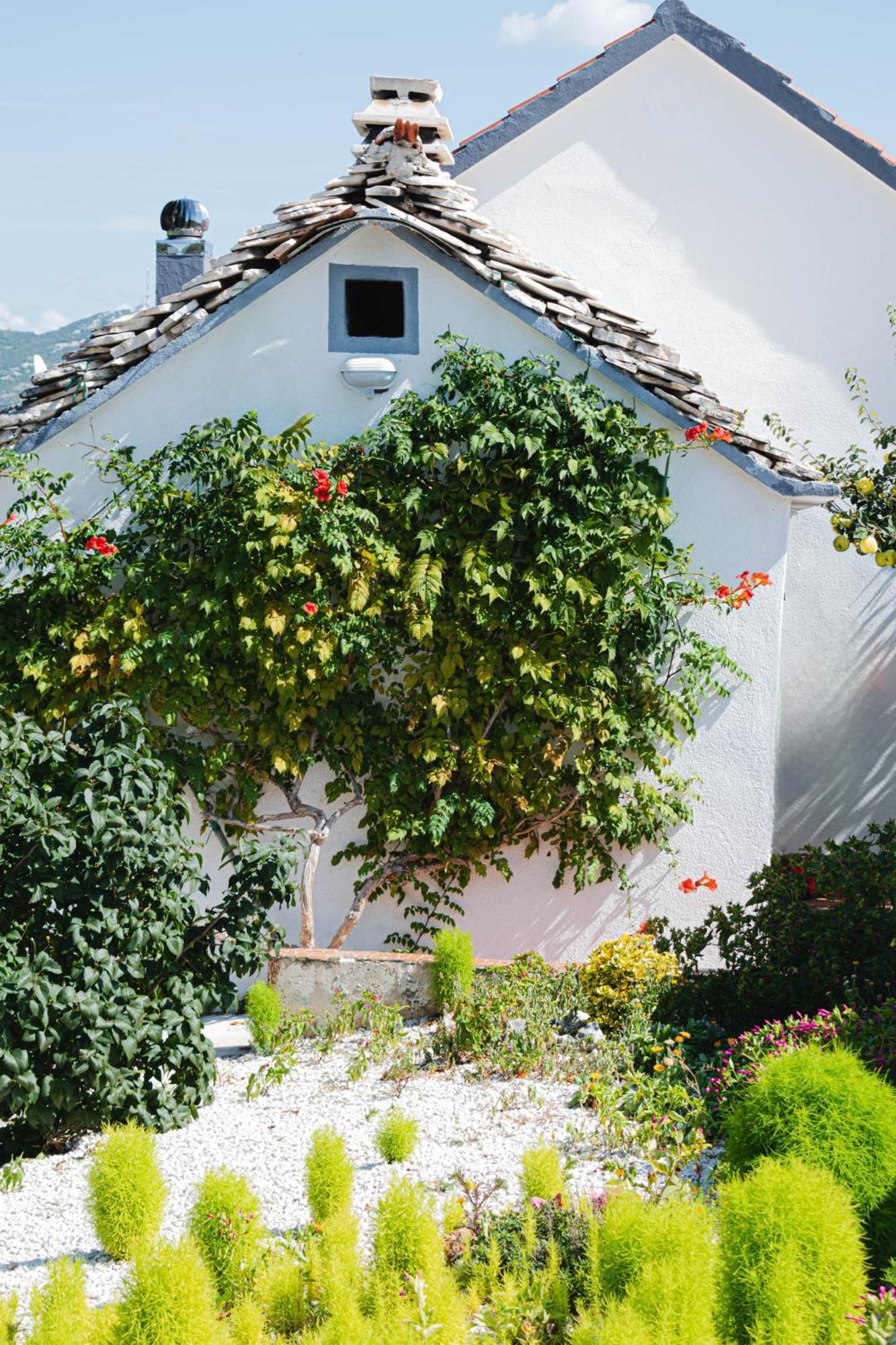 House Camellia With Fenced Pool And Playground Βίλα Blizna Donja Εξωτερικό φωτογραφία